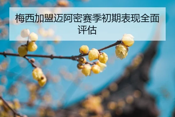 mei-xi-jia-meng-mai-a-mi-sai-ji-chu-qi-biao-xian-quan-mian-ping-gu-2-188.jpg